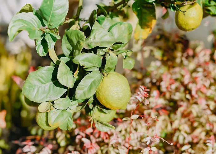 Villa Casa Bella Vista