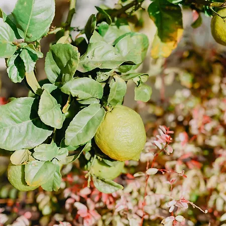 Villa Casa Bella Vista